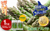 【2027年先行予約】露地物朝採りアスパラ　鮮度保持フィルム入り　2～3L　500g×2　合計1kg（5月中旬発送開始予定）【&nbsp;アスパラ&nbsp;アスパラガス&nbsp;朝採り&nbsp;とれたて&nbsp;野菜&nbsp;旬&nbsp;小分け&nbsp;保存&nbsp;産直&nbsp;産地直送&nbsp;お取り寄せ&nbsp;旭川市&nbsp;北海道&nbsp;】_03817