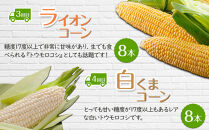 【26年5月発送開始】かに太郎&nbsp;定期便Gセット（アスパラ、赤肉メロン、ライオンコーン、白くまコーン、無添加鮭イクラ醤油漬け）全5回&nbsp;_03820