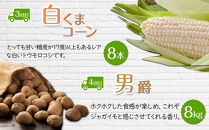 【26年5月発送開始】かに太郎&nbsp;定期便Kセット（アスパラ、赤肉メロン、白くまコーン、男爵、無添加鮭イクラ醤油漬け）全5回&nbsp;_03824