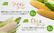 【26年5月発送開始】かに太郎&nbsp;定期便Nセット（アスパラ、赤肉メロン、ライオンコーン、白くまコーン、キタアカリ、無添加鮭イクラ醤油漬け）全6回&nbsp;_03827