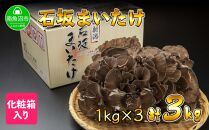 新潟県 南魚沼産 厳選 国産 石坂 高級 舞茸 産地直送 1kg ×3箱 計3kg 石坂きのこ