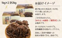 新潟県 南魚沼産 厳選 国産 石坂 高級 舞茸 まいたけ 産地直送 1kg ×2箱 計2kg 石坂きのこ