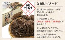 【無地のし】 新潟県 南魚沼産 厳選 国産 石坂 高級 舞茸 まいたけ 産地直送 1kg 贈り物 ギフト お中元 お歳暮 石坂きのこ