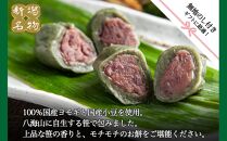 【無地のし】 新潟県 南魚沼市 笹団子 10個 やまと食品 和菓子 お菓子 和スイーツ あんこ 新潟名物 お取り寄せ グルメ お中元 お歳暮 お土産 ギフト やまと食品