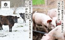 【定期便 4回】 ハンバーグ 150g 4個 計600g にいがた和牛 黒毛和牛 雪ひかりポーク 合挽 国産 牛肉 豚肉 新潟県 南魚沼市 冷凍 YUKIMURO WAGYU UCHIYAMA 内山肉店