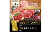 【定期便】毎月29日にお届け!究極お肉1年間定期便/計12回発送_2387R