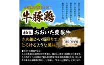 【定期便】毎月29日にお届け!究極お肉1年間定期便/計12回発送_2387R