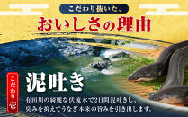 訳あり&nbsp;国産&nbsp;うなぎ&nbsp;1食&nbsp;パック&nbsp;合計500g&nbsp;山椒&nbsp;付き&nbsp;タレ&nbsp;15個&nbsp;付&nbsp;数量限定｜訳アリ&nbsp;わけあり&nbsp;ワケアリ&nbsp;国産&nbsp;人気&nbsp;うなぎ&nbsp;鰻&nbsp;ウナギ&nbsp;蒲焼き&nbsp;蒲焼&nbsp;かばやき&nbsp;魚&nbsp;魚介&nbsp;魚貝&nbsp;海鮮&nbsp;うな重&nbsp;ひつまぶし&nbsp;蒲焼&nbsp;ギフト&nbsp;人気&nbsp;おすすめ&nbsp;国産&nbsp;うなぎ&nbsp;鰻&nbsp;ウナギ&nbsp;国産鰻&nbsp;うなぎ蒲焼&nbsp;鰻蒲焼き&nbsp;蒲焼き&nbsp;かば焼き&nbsp;うなぎ【訳あり&nbsp;国産&nbsp;うなぎ&nbsp;unagi&nbsp;鰻&nbsp;ウナギ&nbsp;うなぎ蒲焼】	