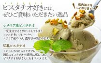 【数量限定】アイス 食べ比べピスタチオジェラート 500ml×２種【シチリア産ピスタチオ】【豆乳ピスタチオ】