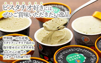 【数量限定】ピスタチオ ジェラート 121ml×8個（2種各4個）食べ比べ【アイス スイーツ 人気 デザート 冷凍 氷菓子 小分け セット 詰め合わせ イタリア シチリア産 豆乳 ピスタチオ】