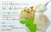 【数量限定】アイス シチリア産ピスタチオ 朝搾り ミルク 500ml×2種 ジェラート