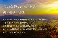 【新米予約】令和6年度産 南魚沼産コシヒカリ 2kg×1袋 塩沢地区100%