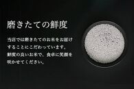 【新米予約】令和6年度産 南魚沼産コシヒカリ 3kg×1袋 塩沢地区100%