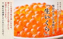 年2回お届け定期便 シラリカいくら（生いくら） 500g(250g×2) お好みに味付けができます いくら イクラ 生いくら 生イクラ 小分け いくら醤油漬 鮭いくら 鮭イクラ イクラ醤油漬 鮭 鮭卵 いくら醤油漬け 醤油いくら 醤油イクラ ikura 冷凍いくら いくら無添加 いくら鮭 ふるさと納税 ふるさとチョイス チョイス 北海道 白糠町