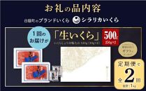 年2回お届け定期便 シラリカいくら（生いくら） 500g(250g×2) お好みに味付けができます いくら イクラ 生いくら 生イクラ 小分け いくら醤油漬 鮭いくら 鮭イクラ イクラ醤油漬 鮭 鮭卵 いくら醤油漬け 醤油いくら 醤油イクラ ikura 冷凍いくら いくら無添加 いくら鮭 ふるさと納税 ふるさとチョイス チョイス 北海道 白糠町