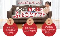 あとからセレクト【ふるさとギフト】４万円