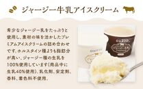 オハヨー乳業 ジャージー牛乳アイスクリーム 120ml×10個（ミルク・コーヒー）ギフト | アイス あいす ミルクアイス バニラ ばにら スイーツ デザート