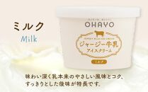 オハヨー乳業 ジャージー牛乳アイスクリーム 120ml×10個（ミルク・コーヒー）ギフト | アイス あいす ミルクアイス バニラ ばにら スイーツ デザート