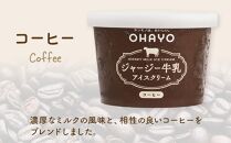 オハヨー乳業 ジャージー牛乳アイスクリーム 120ml×10個（ミルク・コーヒー）ギフト | アイス あいす ミルクアイス バニラ ばにら スイーツ デザート