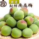 厳選&nbsp;紀州南高梅(青梅)5kg+250g（傷み補償分）【梅干し・梅酒・梅ジュース】［IKE77］