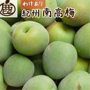 家庭用&nbsp;紀州南高梅(青梅)5kg+250g（傷み補償分）【梅干し・梅ジュース】【訳あり】［IKE113］