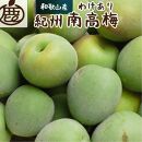 家庭用&nbsp;紀州南高梅(青梅)5kg+250g（傷み補償分）【梅干し・梅ジュース】【訳あり】［IKE113］