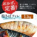 【ご家庭用訳あり】人気の塩さばフィレ＆紅鮭切身セット計2kg【UT64】