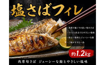 【ご家庭用訳あり】人気の塩さばフィレ＆紅鮭切身セット計2kg【UT64】