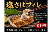 【ご家庭用訳あり】人気の塩さばフィレ＆紅鮭切身セット計1kg【UT63】