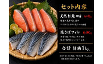 【ご家庭用訳あり】人気の塩さばフィレ＆紅鮭切身セット計1kg【UT63】