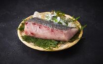 屋久島産 天然カンパチ 約1.5kg（約500g×3） ブロック 冷凍 真空パック