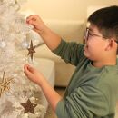 【栗】1年中飾れる 天然木のオーナメント スターセット 木製 Christmas Xmas tree  TONARINO