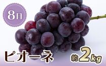 【7・8・10月 全3回】紀州和歌山産旬のフルーツセット（桃・ピオーネ・ひらたねなし柿）定期便 【魚鶴商店】【UT67】
