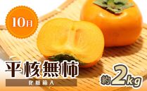 【7・8・10月 全3回】紀州和歌山産旬のフルーツセット（桃・ピオーネ・ひらたねなし柿）定期便 【魚鶴商店】【UT67】