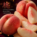 【7・8・10月&nbsp;全3回】紀州和歌山産旬のフルーツセット（桃・梨・ひらたねなし柿）定期便&nbsp;【魚鶴商店】【UT68】
