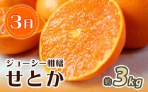 【3・7・11月 全3回】紀州和歌山産旬のフルーツセット（せとか・桃・富有柿） 定期便 【魚鶴商店】【UT72】