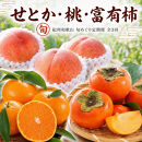 【3・7・11月&nbsp;全3回】紀州和歌山産旬のフルーツセット（せとか・桃・富有柿）&nbsp;定期便&nbsp;【魚鶴】【UT72】