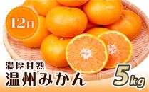 【2・7・12月 全3回】紀州和歌山産旬のフルーツセット（いちご・桃・有田みかん）定期便 【魚鶴商店】【UT70】