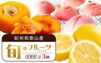 【1・3・7月 全3回】紀州和歌山産旬のフルーツセット（あんぽ柿・レモン・桃） 定期便 【魚鶴商店】【UT65】