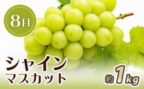 【7・8・10月 全3回】紀州和歌山産旬のフルーツセット（桃・シャイン・ひらたねなし柿）定期便 【魚鶴商店】【UT66】