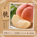 【2・7・11月&nbsp;全3回】紀州和歌山産旬のフルーツセット（いちご・桃・富有柿）定期便&nbsp;【魚鶴】【UT69】