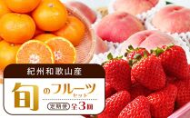 【2・7・12月 全3回】紀州和歌山産旬のフルーツセット（いちご・桃・有田みかん）定期便 【魚鶴商店】【UT70】
