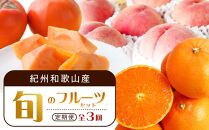 【3・7・11月 全3回】紀州和歌山産旬のフルーツセット（せとか・桃・富有柿） 定期便 【魚鶴商店】【UT72】