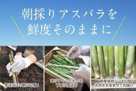【朝採り直送】夏芽アスパラガス 1kg（2L-Lサイズ）福岡県産 2024年