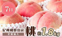 【7・8・10月 全3回】紀州和歌山産旬のフルーツセット（桃・シャイン・ひらたねなし柿）定期便 【魚鶴商店】【UT66】
