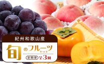 【7・8・10月 全3回】紀州和歌山産旬のフルーツセット（桃・ピオーネ・ひらたねなし柿）定期便 【魚鶴商店】【UT67】