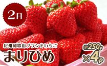 【2・7・12月&nbsp;全3回】紀州和歌山産旬のフルーツセット（いちご・桃・有田みかん）定期便&nbsp;【魚鶴商店】【UT70】