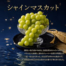 【7・8・10月&nbsp;全3回】紀州和歌山産旬のフルーツセット（桃・シャイン・ひらたねなし柿）定期便&nbsp;【魚鶴】【UT66】