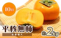 【7・8・10月 全3回】紀州和歌山産旬のフルーツセット（桃・梨・ひらたねなし柿）定期便 【魚鶴商店】【UT68】
