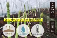 【朝採り直送】夏芽アスパラガス&nbsp;1kg（L-Mサイズ）福岡県産&nbsp;2026年